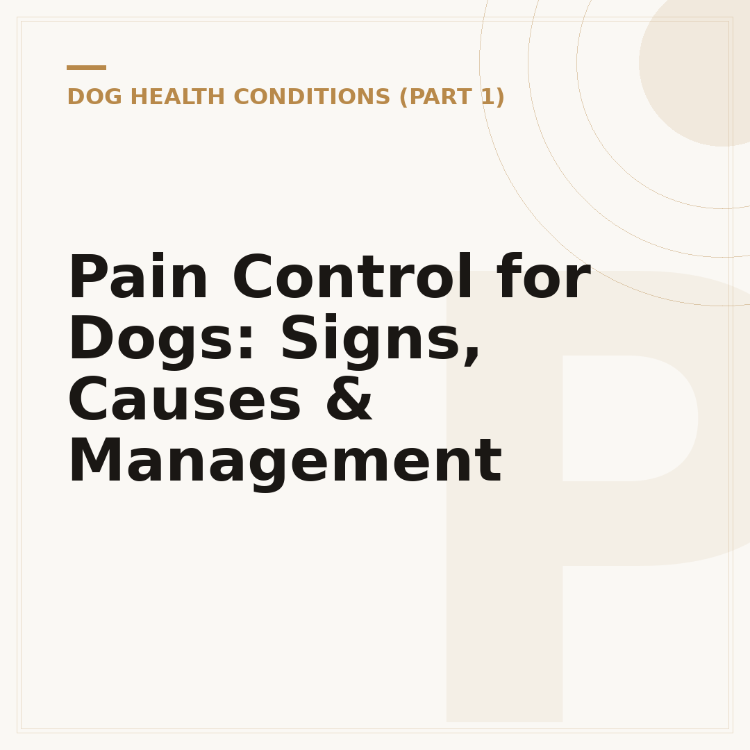 Pain Control for Dogs: Signs, Causes & Management