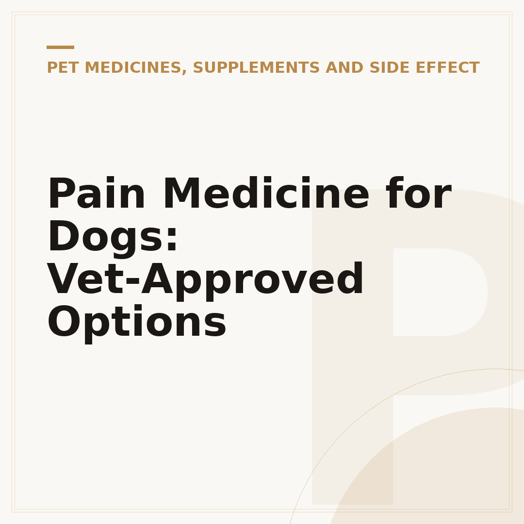 Pain Medicine for Dogs: Vet-Approved Options