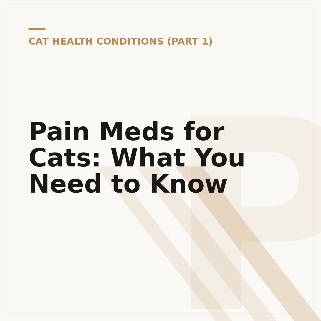 Pain Meds for Cats: What You Need to Know