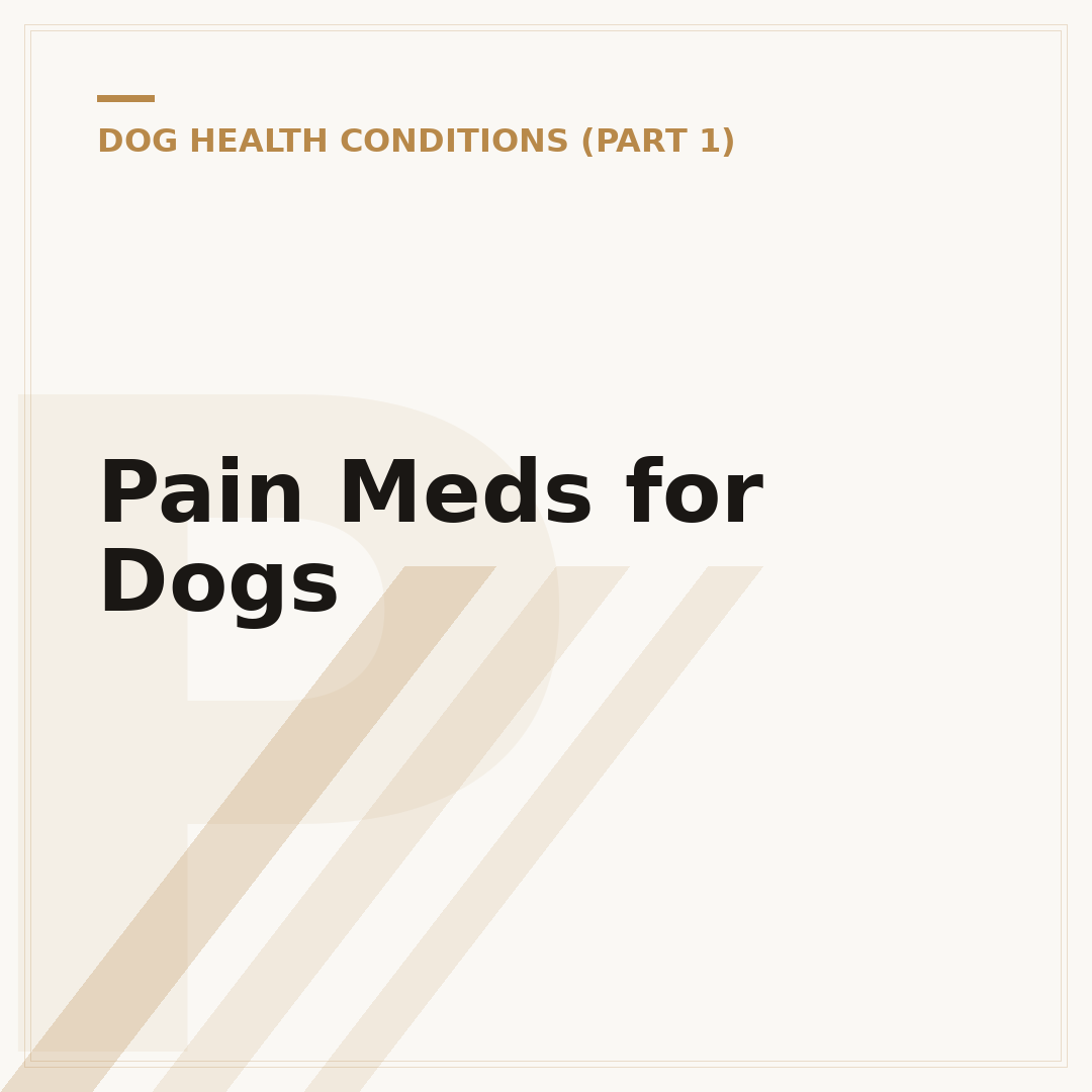 Pain Meds for Dogs