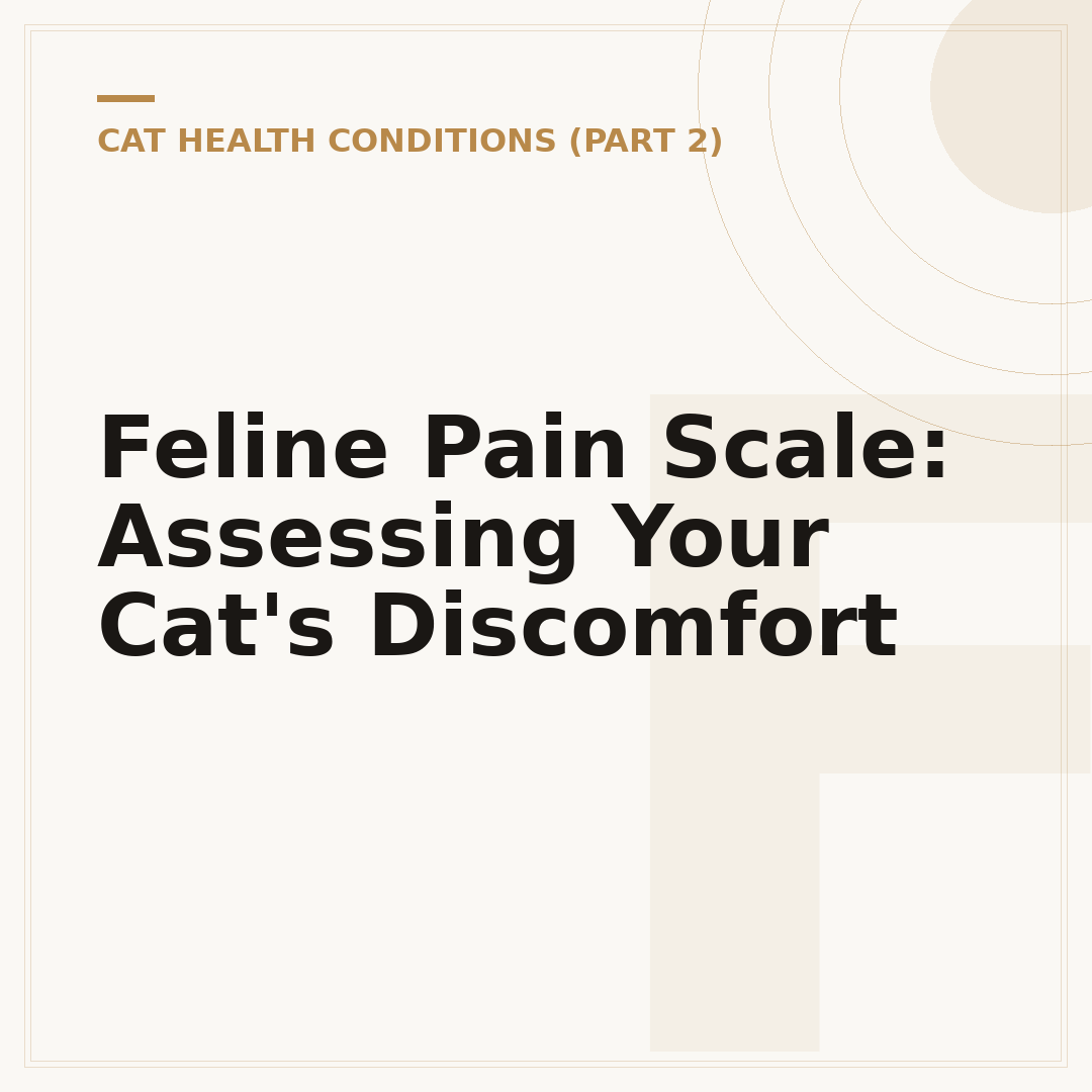 Feline Pain Scale: Assessing Your Cat's Discomfort