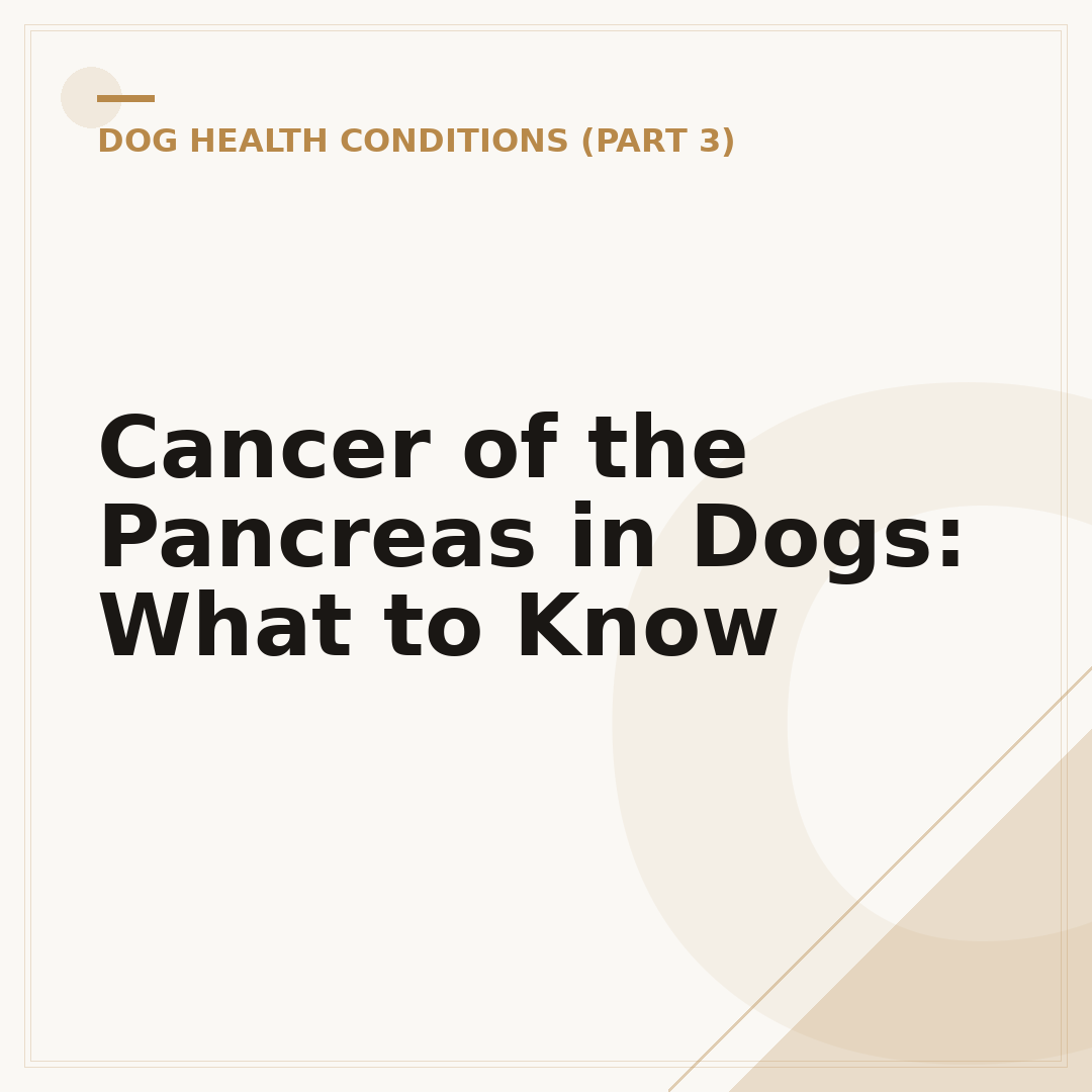 Cancer of the Pancreas in Dogs: What to Know