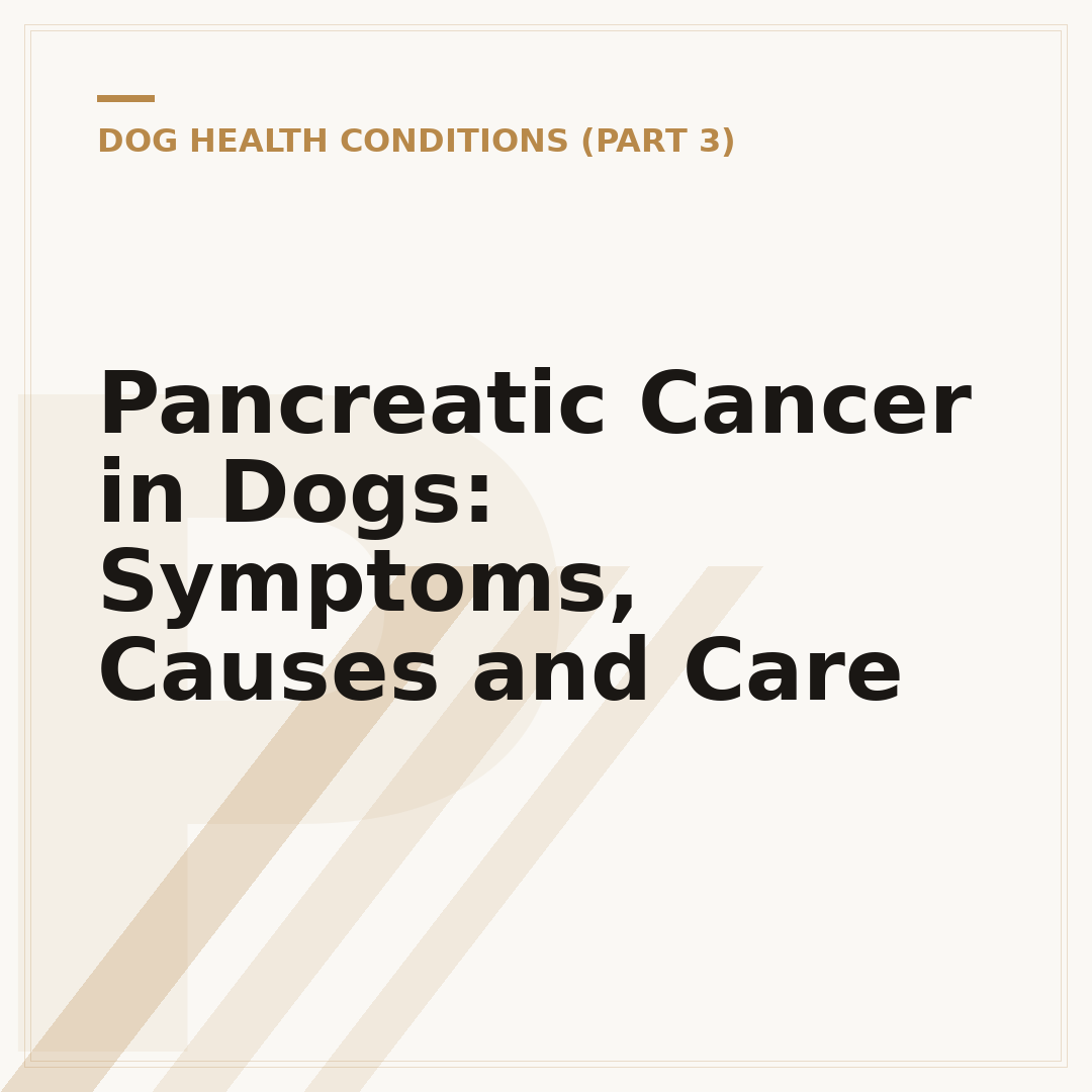 Pancreatic Cancer in Dogs: Symptoms, Causes and Care