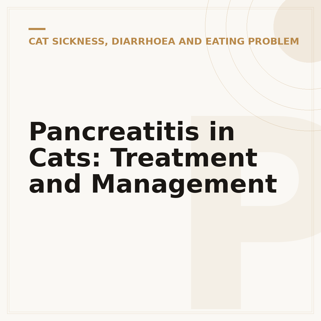 Pancreatitis in Cats: Treatment and Management