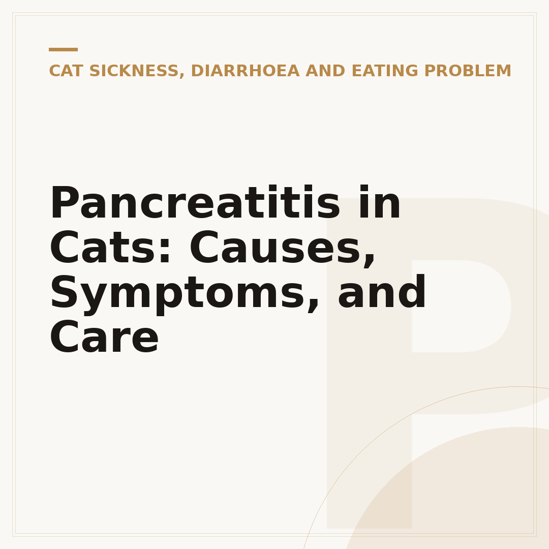 Pancreatitis in Cats: Causes, Symptoms, and Care