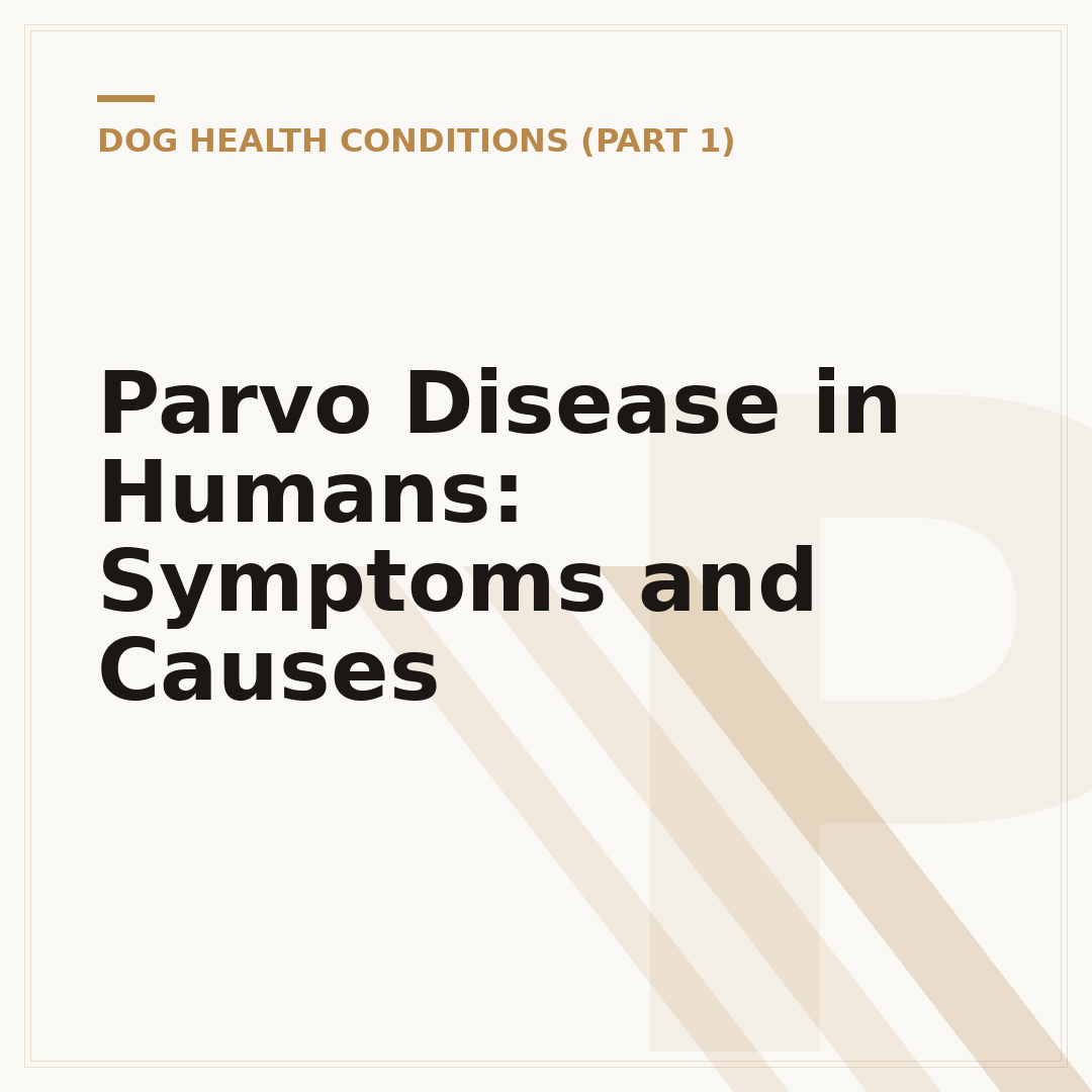 Parvo Disease in Humans: Symptoms and Causes