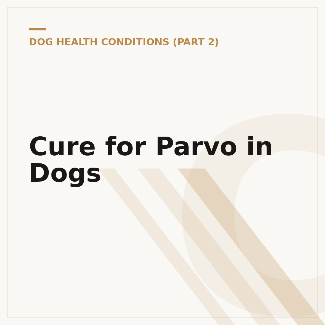 Cure for Parvo in Dogs