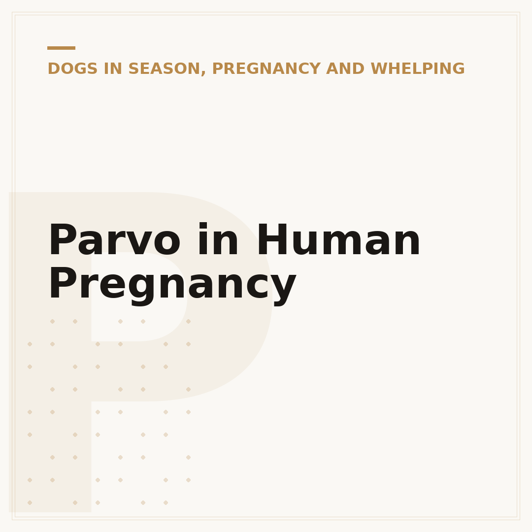 Parvo in Human Pregnancy