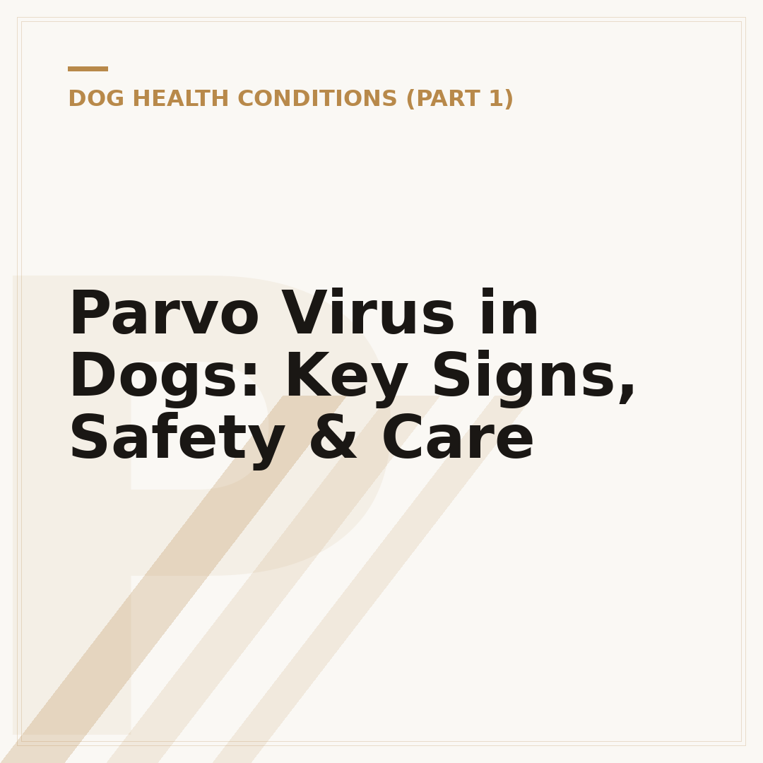 Parvo Virus in Dogs: Key Signs, Safety & Care