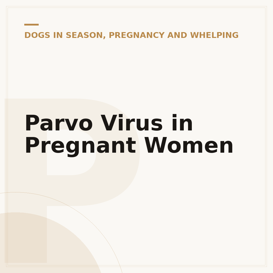Parvo Virus in Pregnant Women