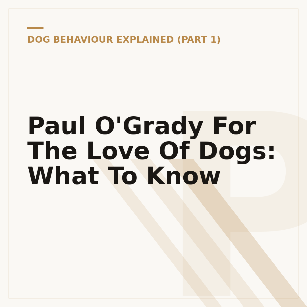 Paul O'Grady For The Love Of Dogs: What To Know
