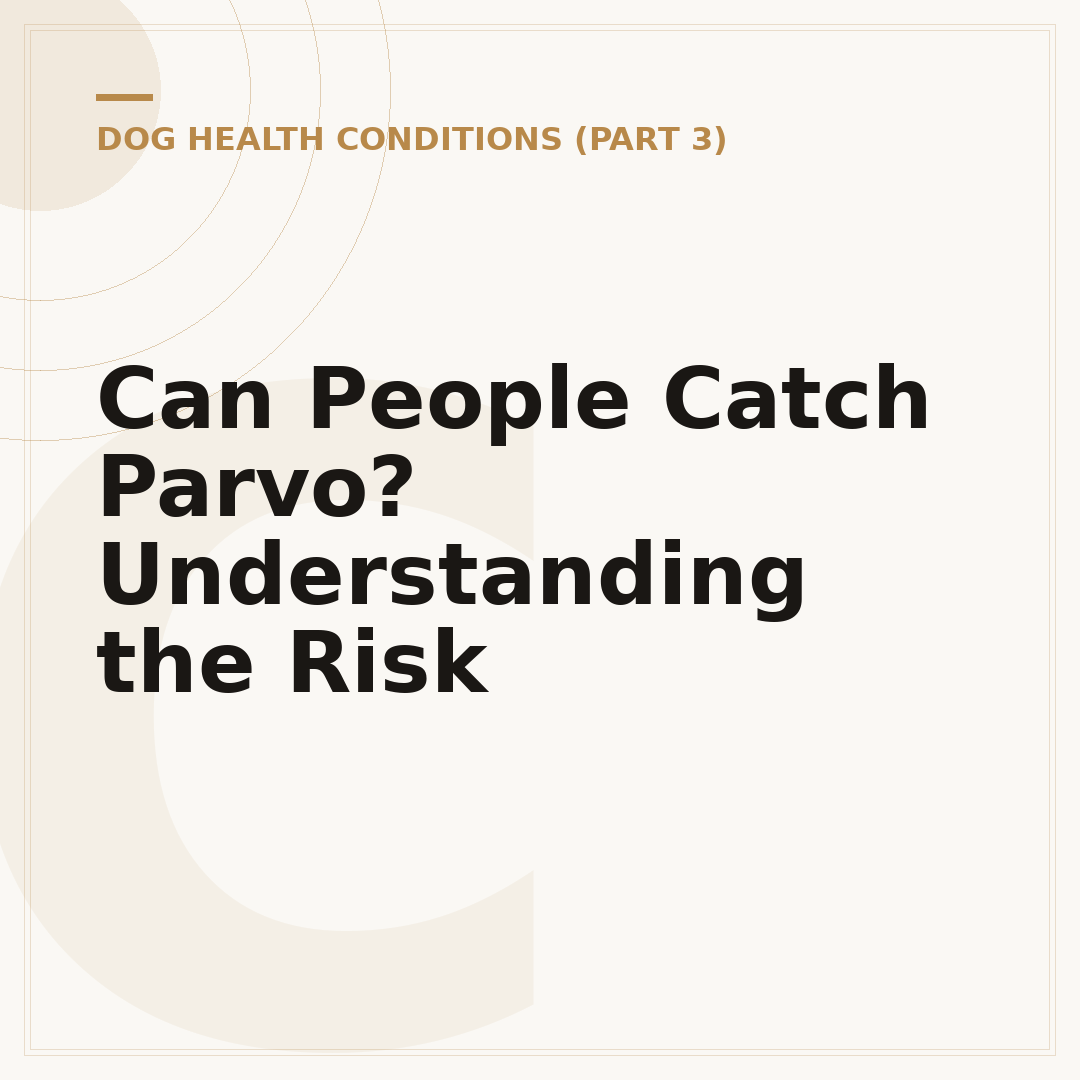 Can People Catch Parvo? Understanding the Risk