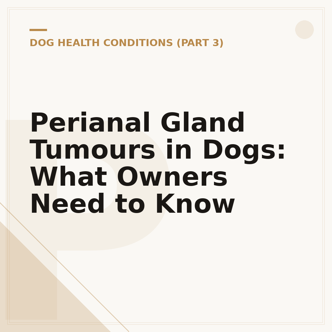 Perianal Gland Tumours in Dogs: What Owners Need to Know