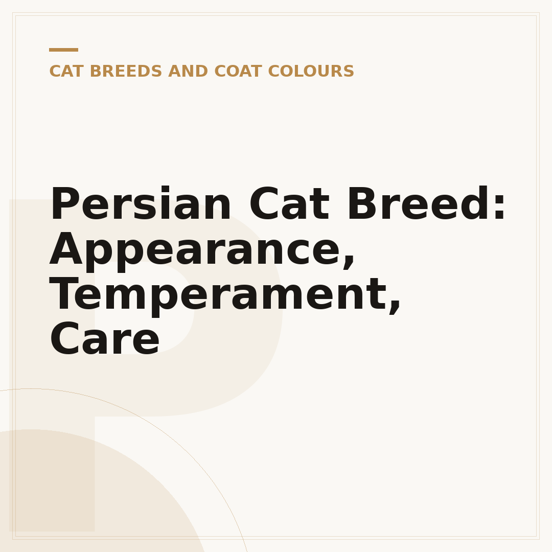 Persian Cat Breed: Appearance, Temperament, Care