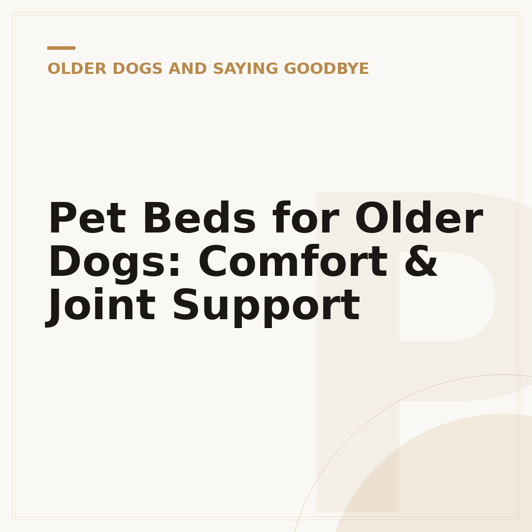 Pet Beds for Older Dogs: Comfort & Joint Support