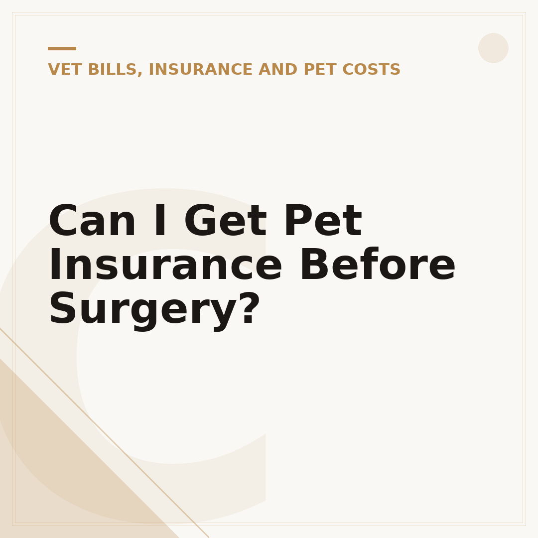 Can I Get Pet Insurance Before Surgery?