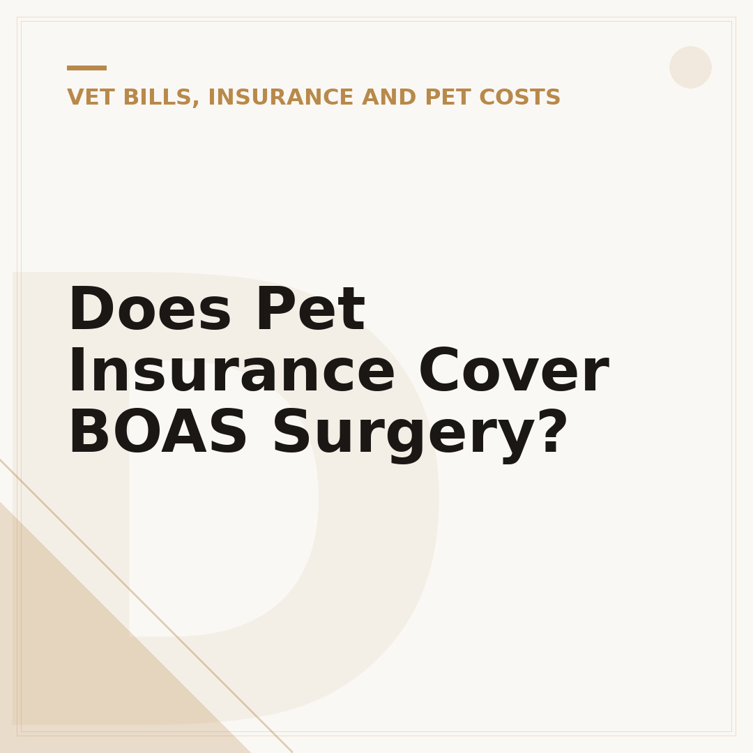 Does Pet Insurance Cover BOAS Surgery?