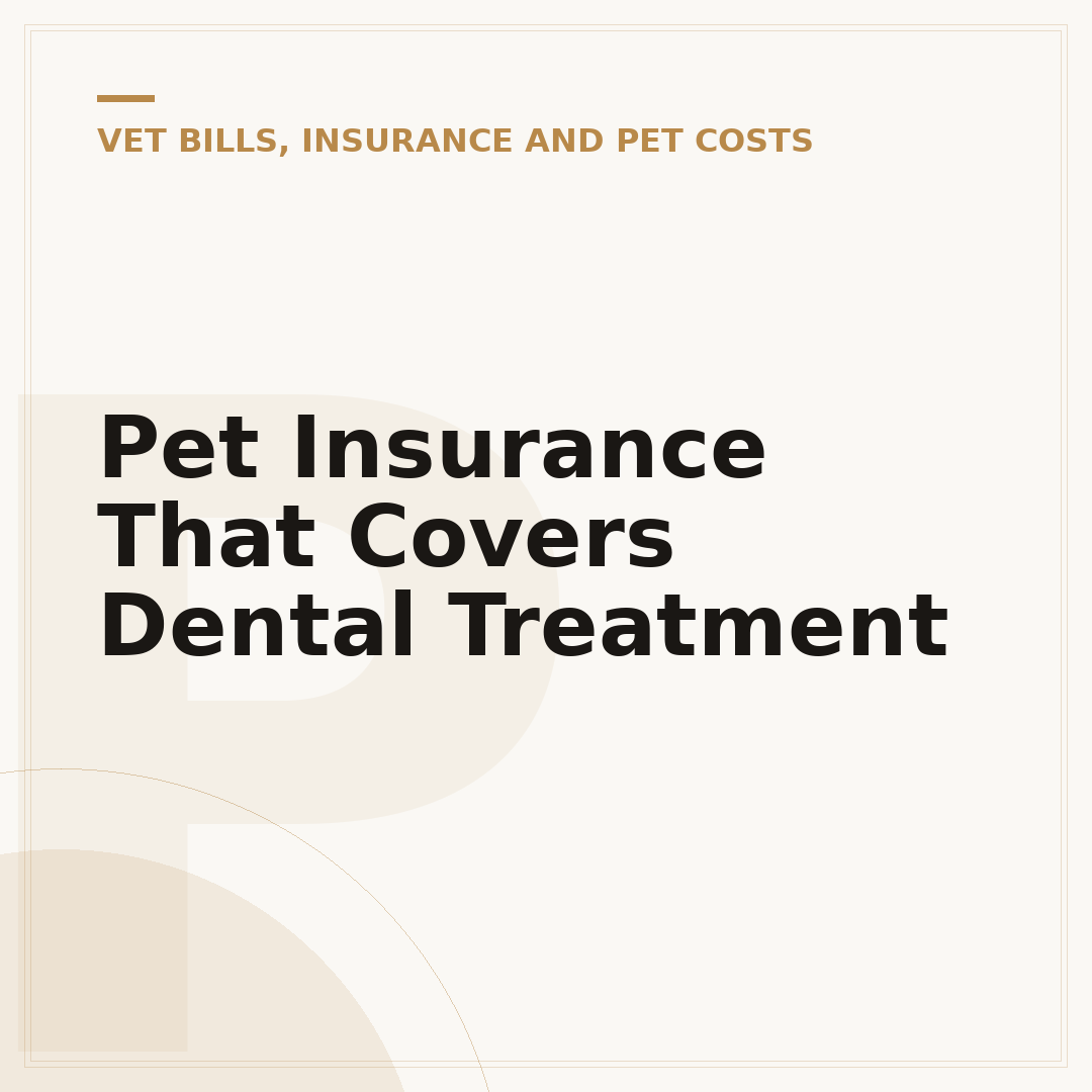 Pet Insurance That Covers Dental Treatment
