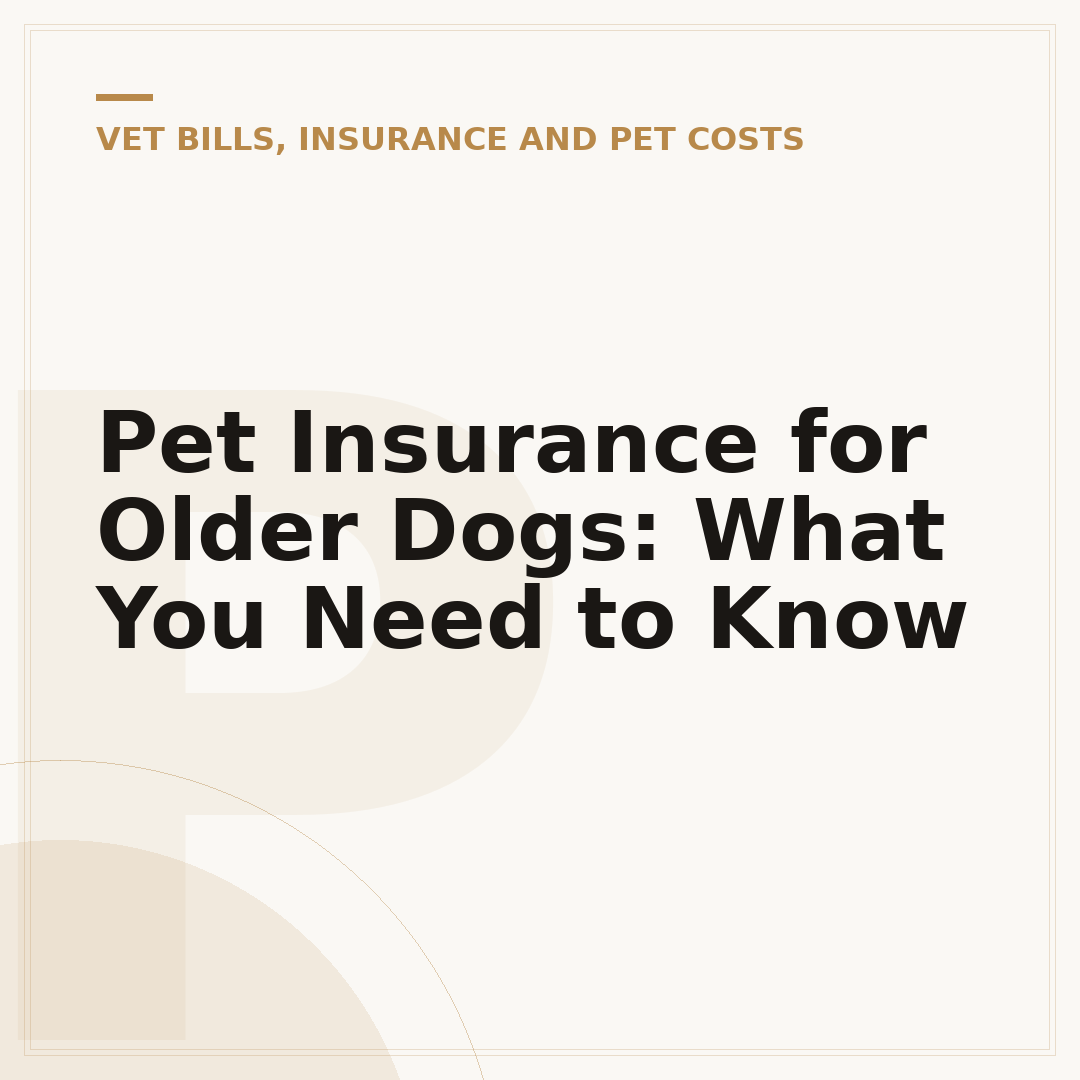 Pet Insurance for Older Dogs: What You Need to Know