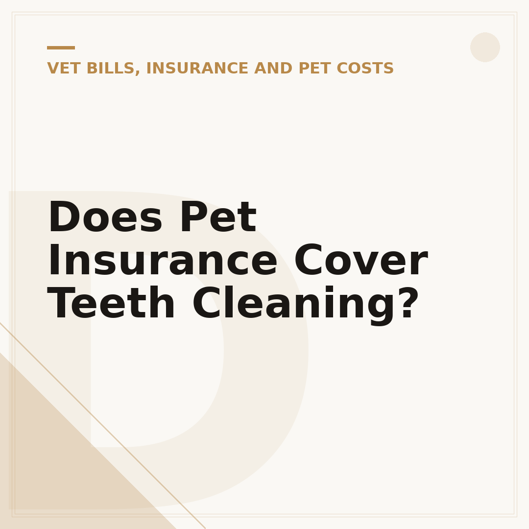 Does Pet Insurance Cover Teeth Cleaning?