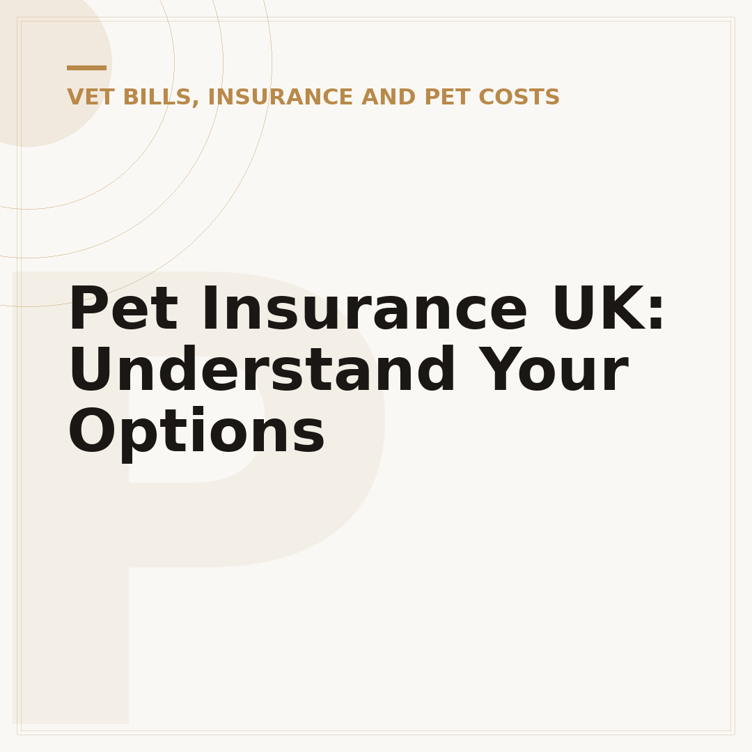 Pet Insurance UK: Understand Your Options