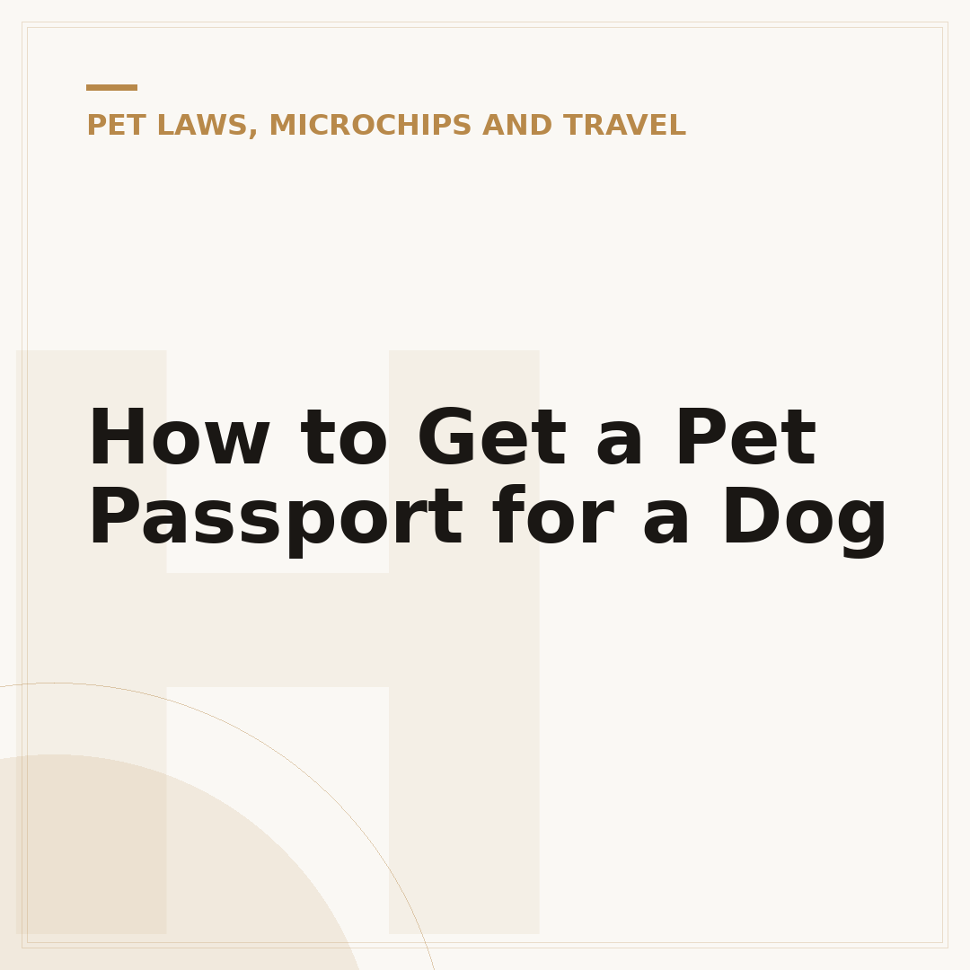 How to Get a Pet Passport for a Dog