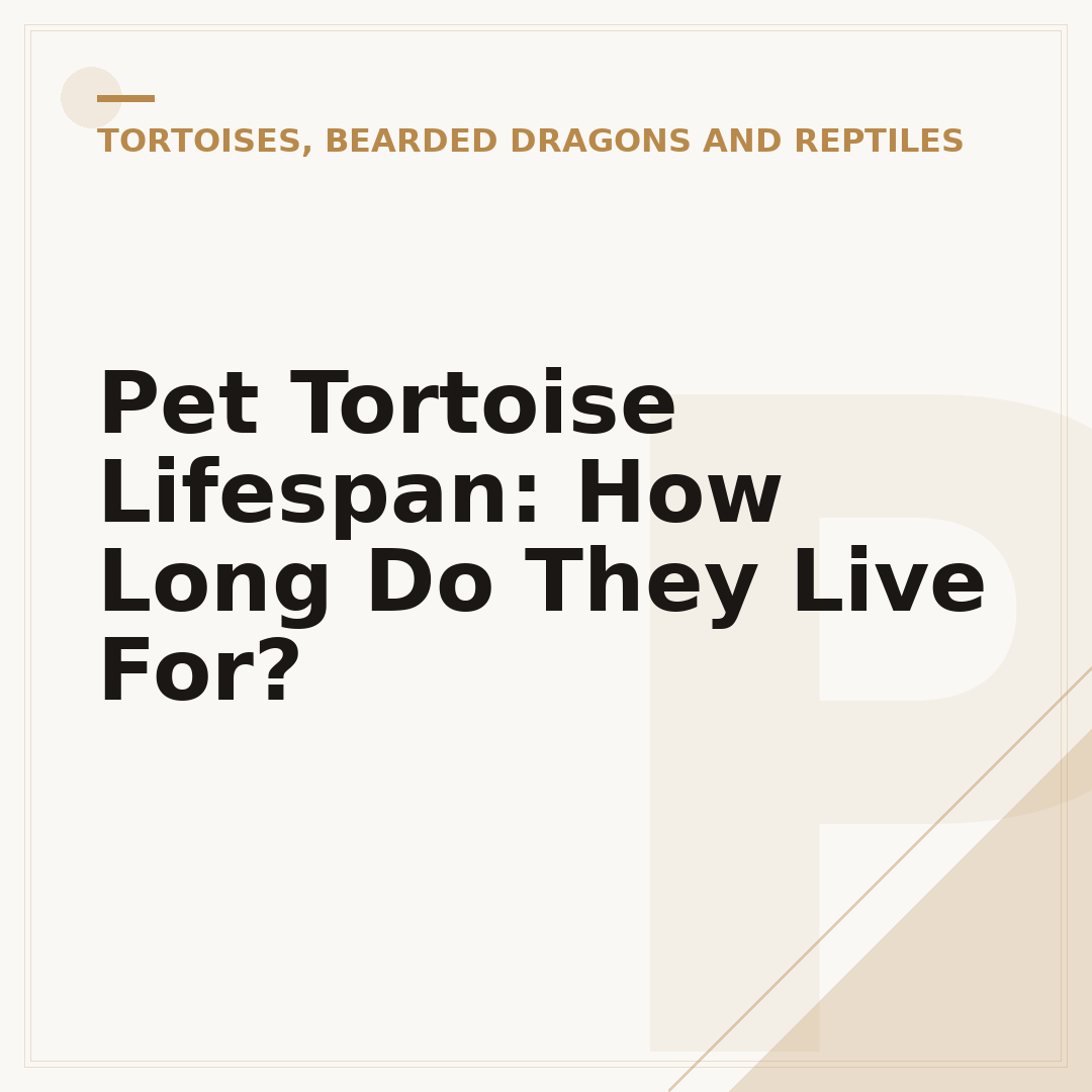 Pet Tortoise Lifespan: How Long Do They Live For?