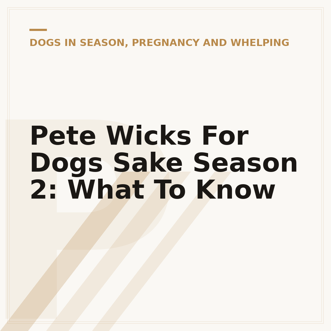 Pete Wicks For Dogs Sake Season 2: What To Know