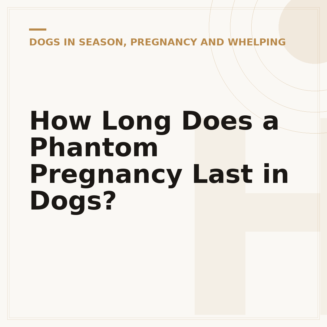 How Long Does a Phantom Pregnancy Last in Dogs?