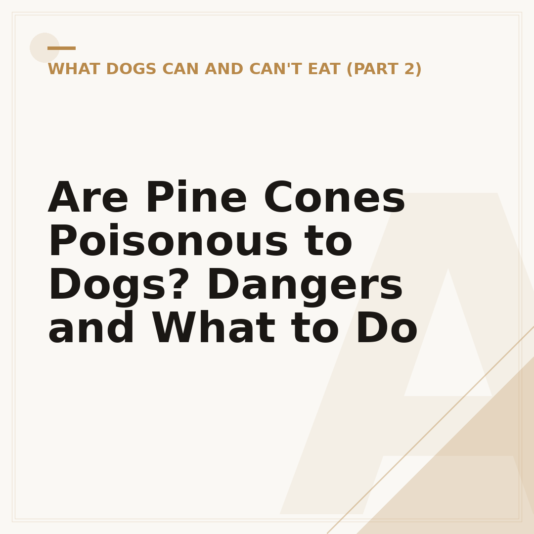 Are Pine Cones Poisonous to Dogs? Dangers and What to Do