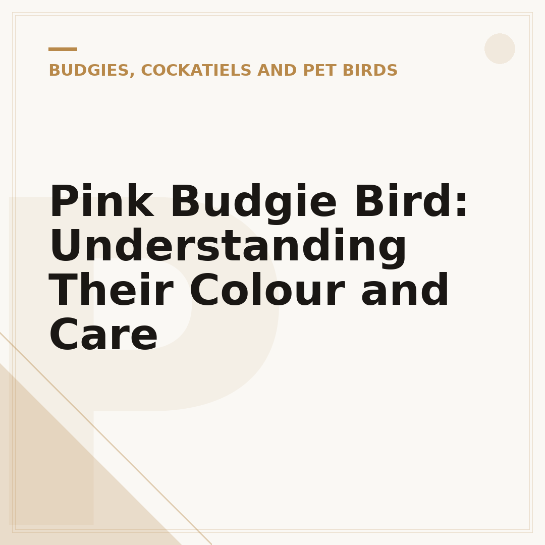 Pink Budgie Bird: Understanding Their Colour and Care