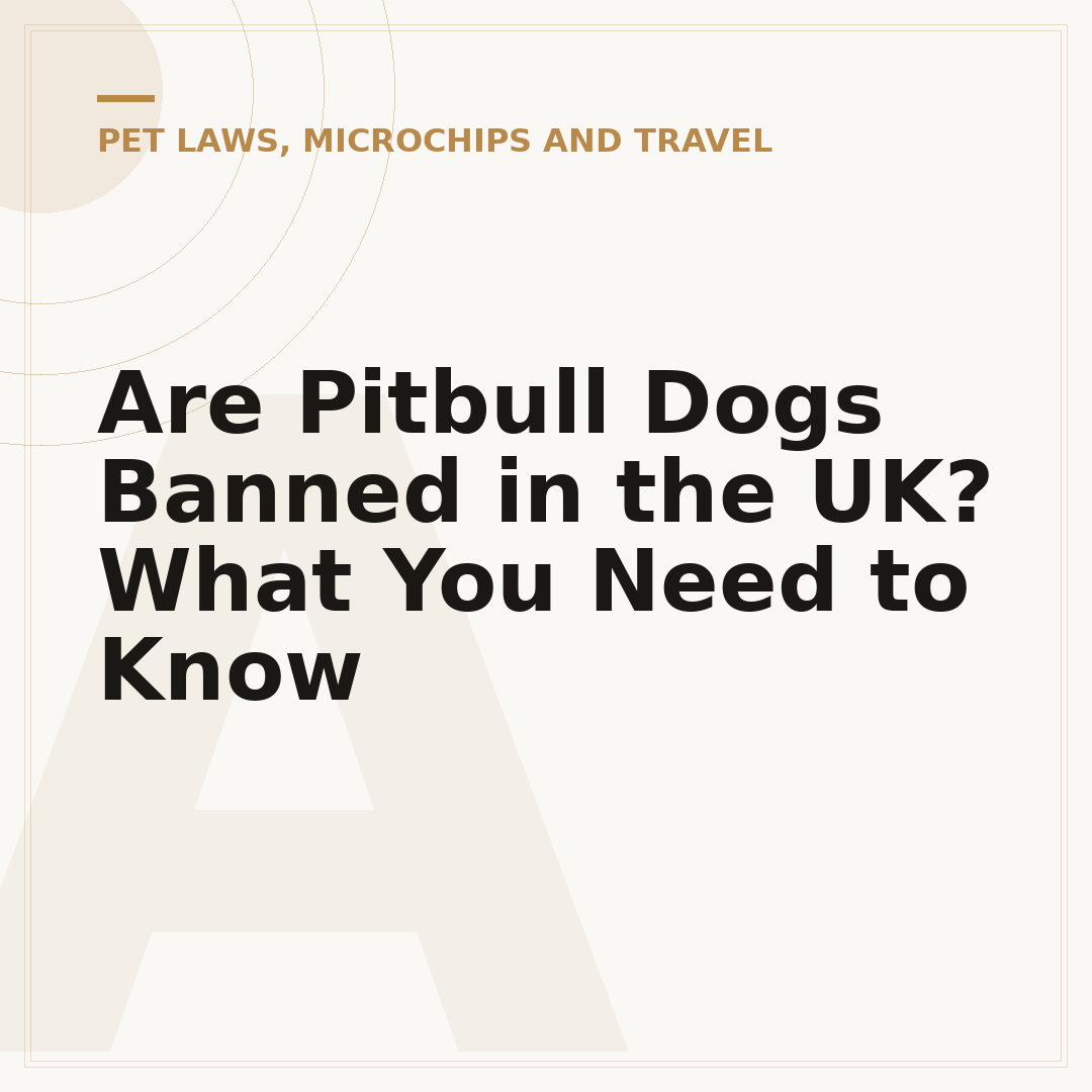 Are Pitbull Dogs Banned in the UK? What You Need to Know