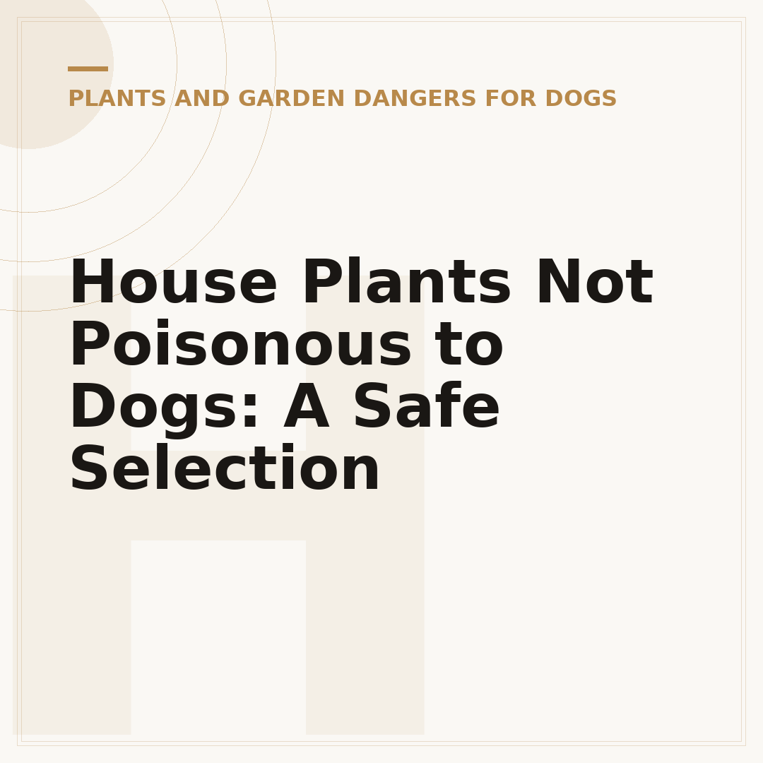 House Plants Not Poisonous to Dogs: A Safe Selection