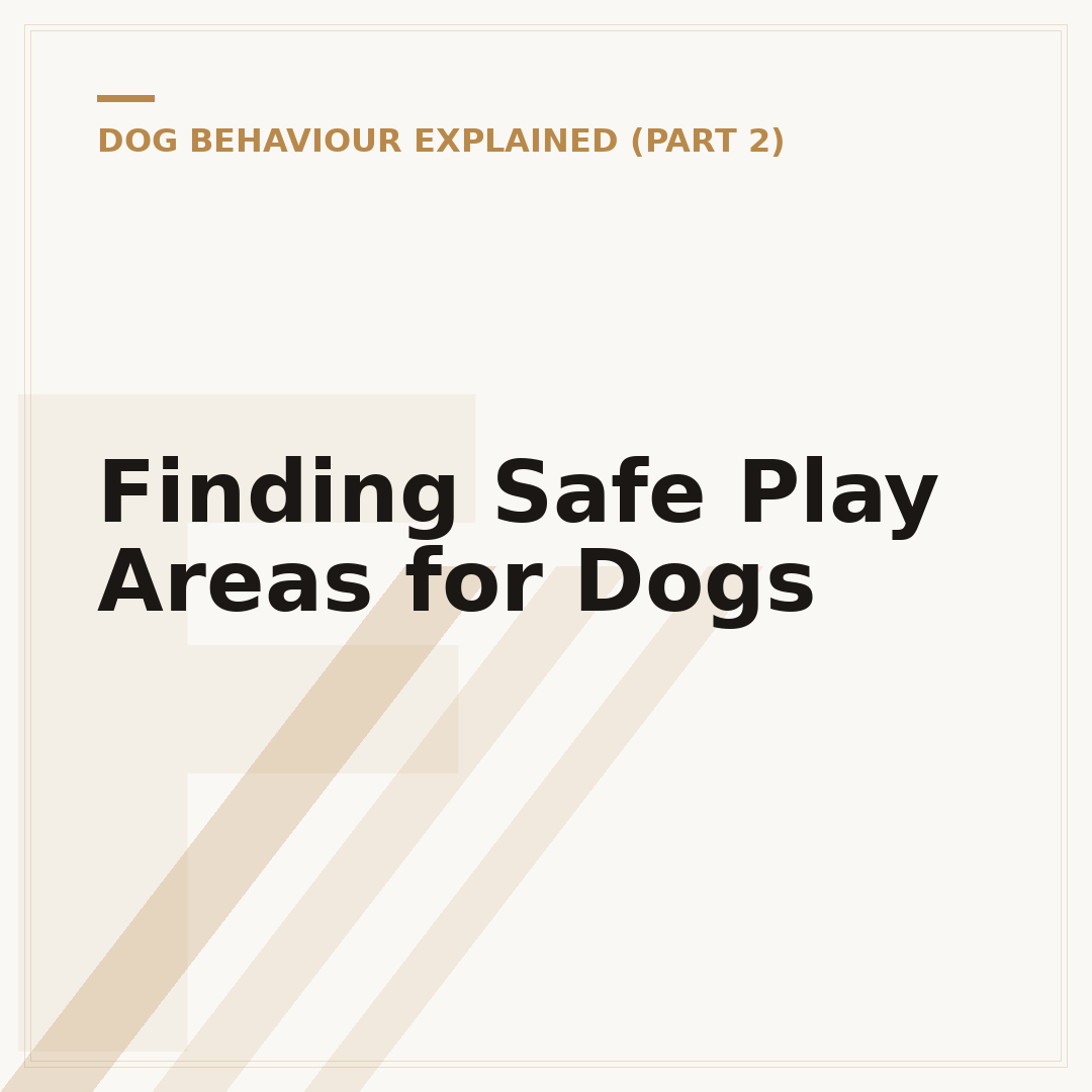 Finding Safe Play Areas for Dogs
