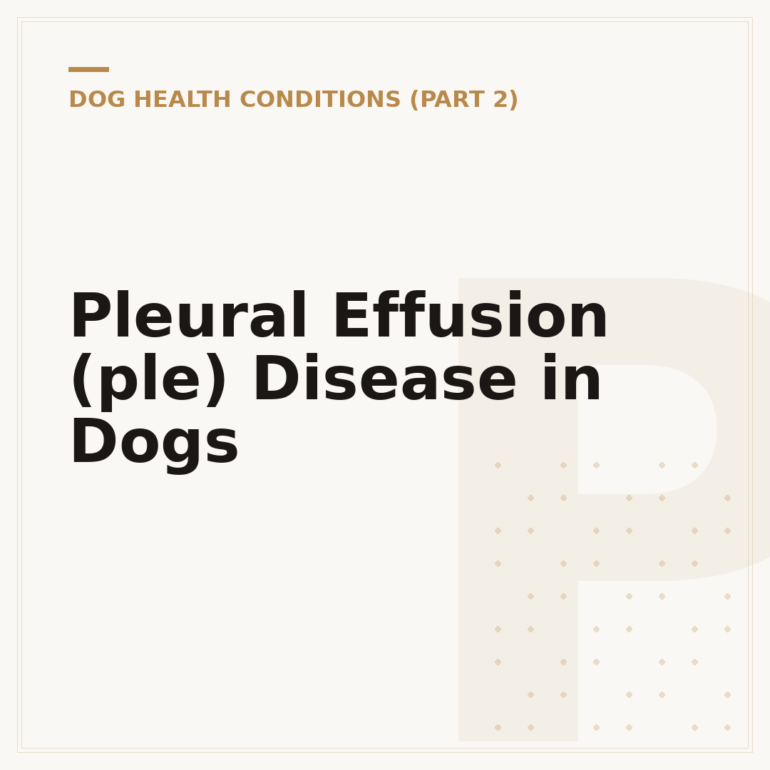 Pleural Effusion (ple) Disease in Dogs