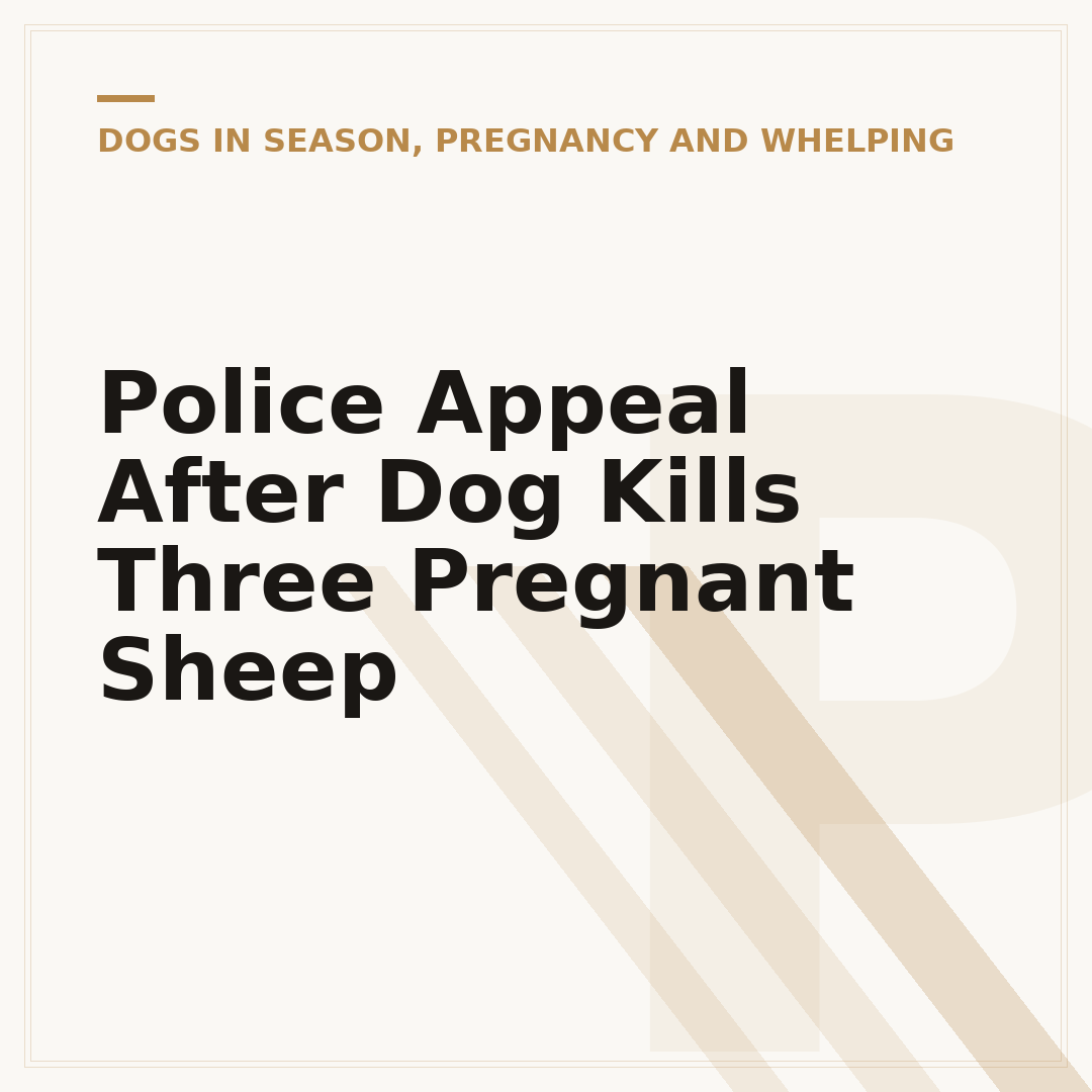 Police Appeal After Dog Kills Three Pregnant Sheep