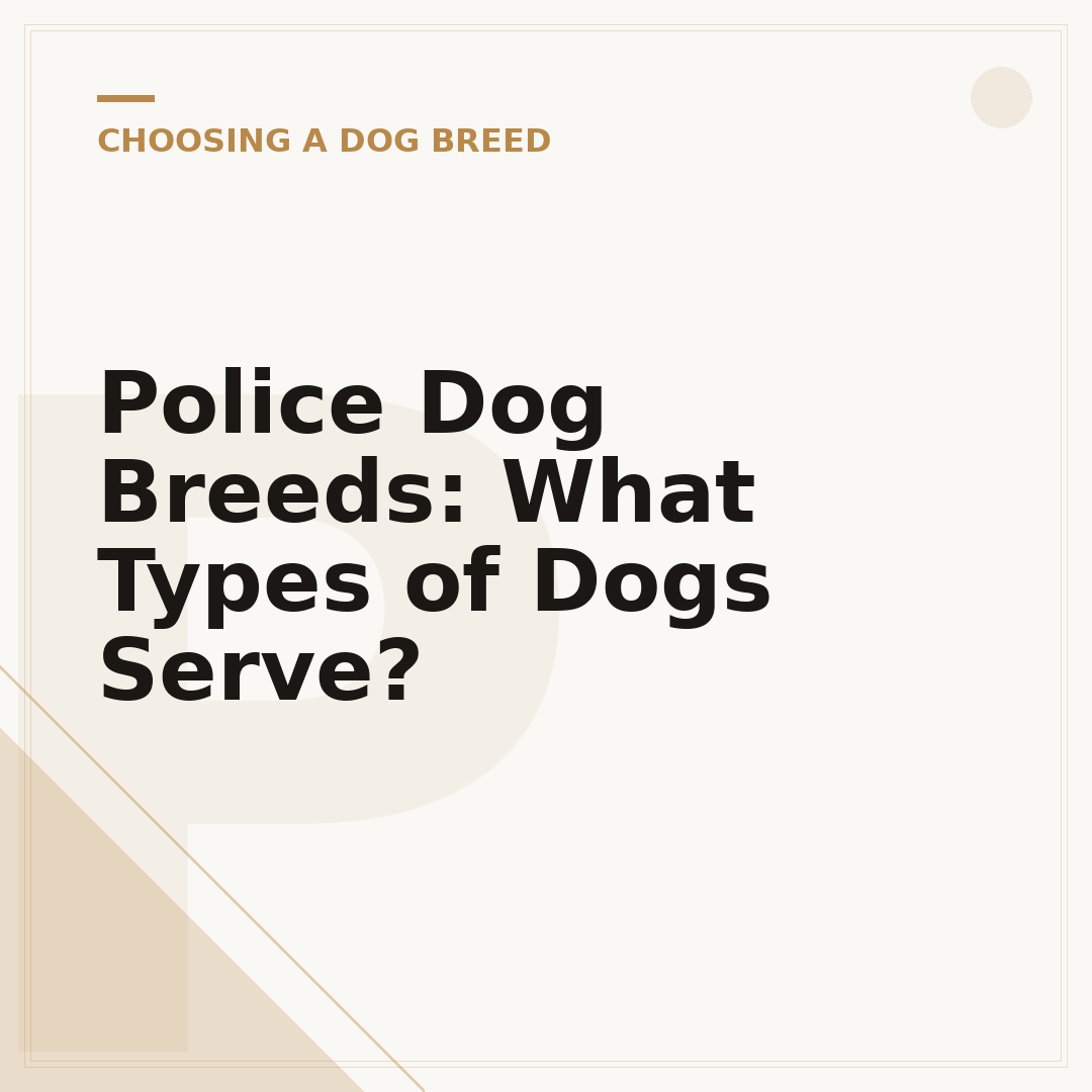 Police Dog Breeds: What Types of Dogs Serve?