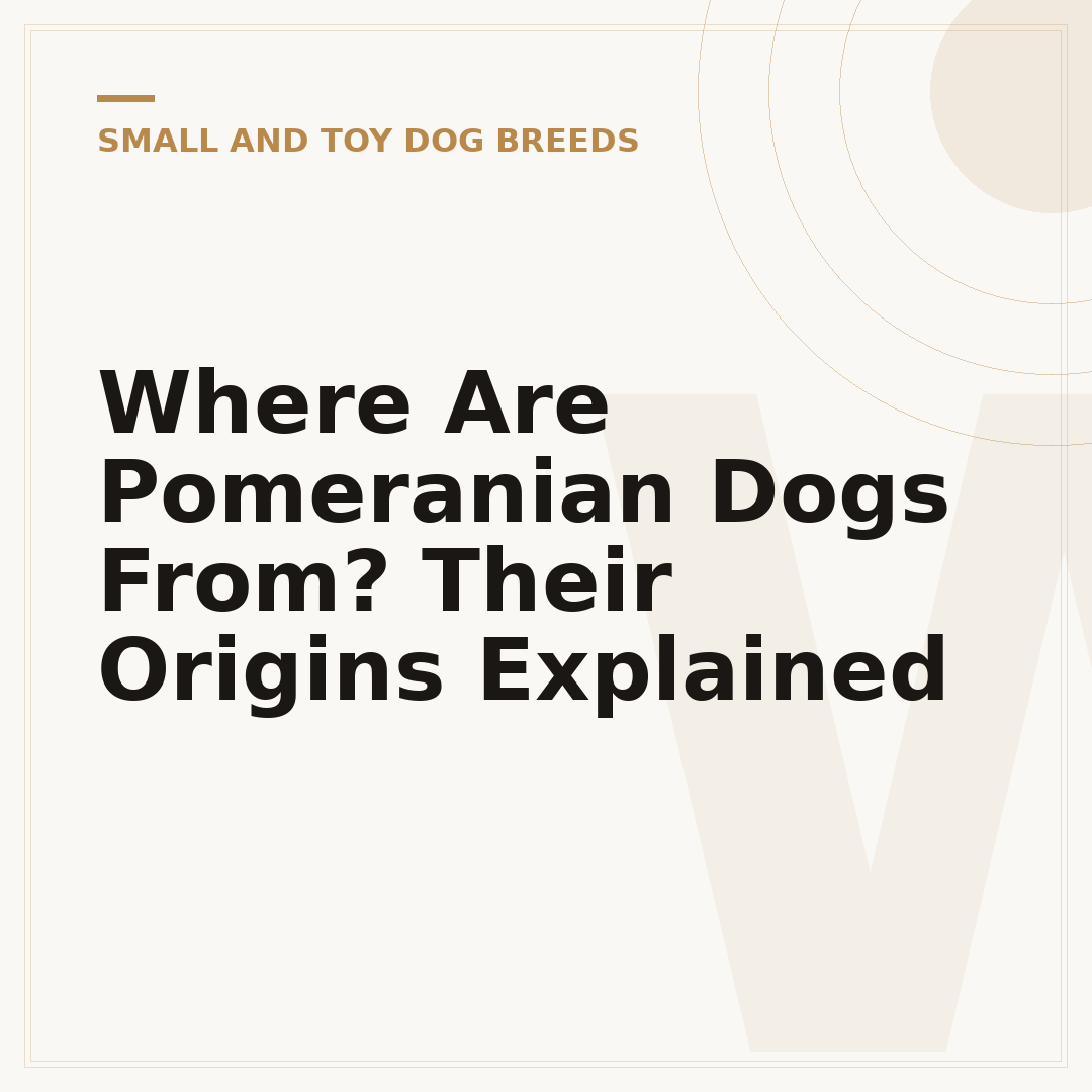 Where Are Pomeranian Dogs From? Their Origins Explained