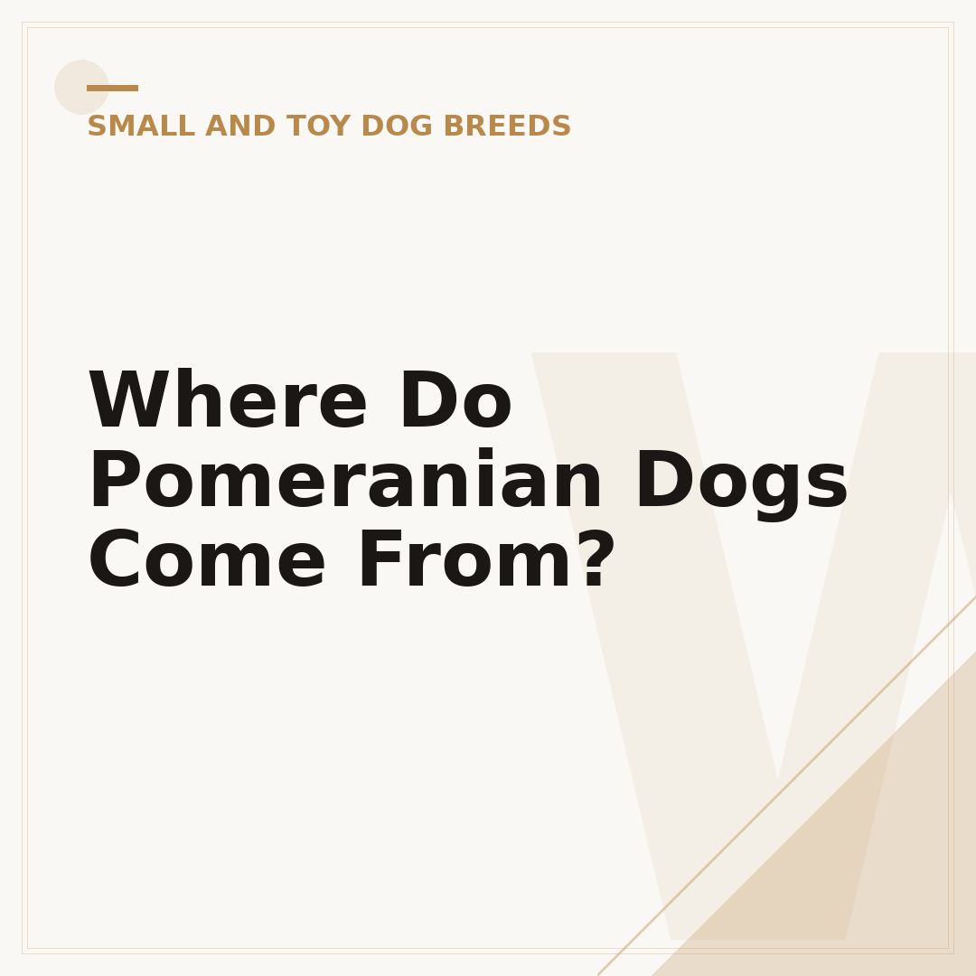 Where Do Pomeranian Dogs Come From?