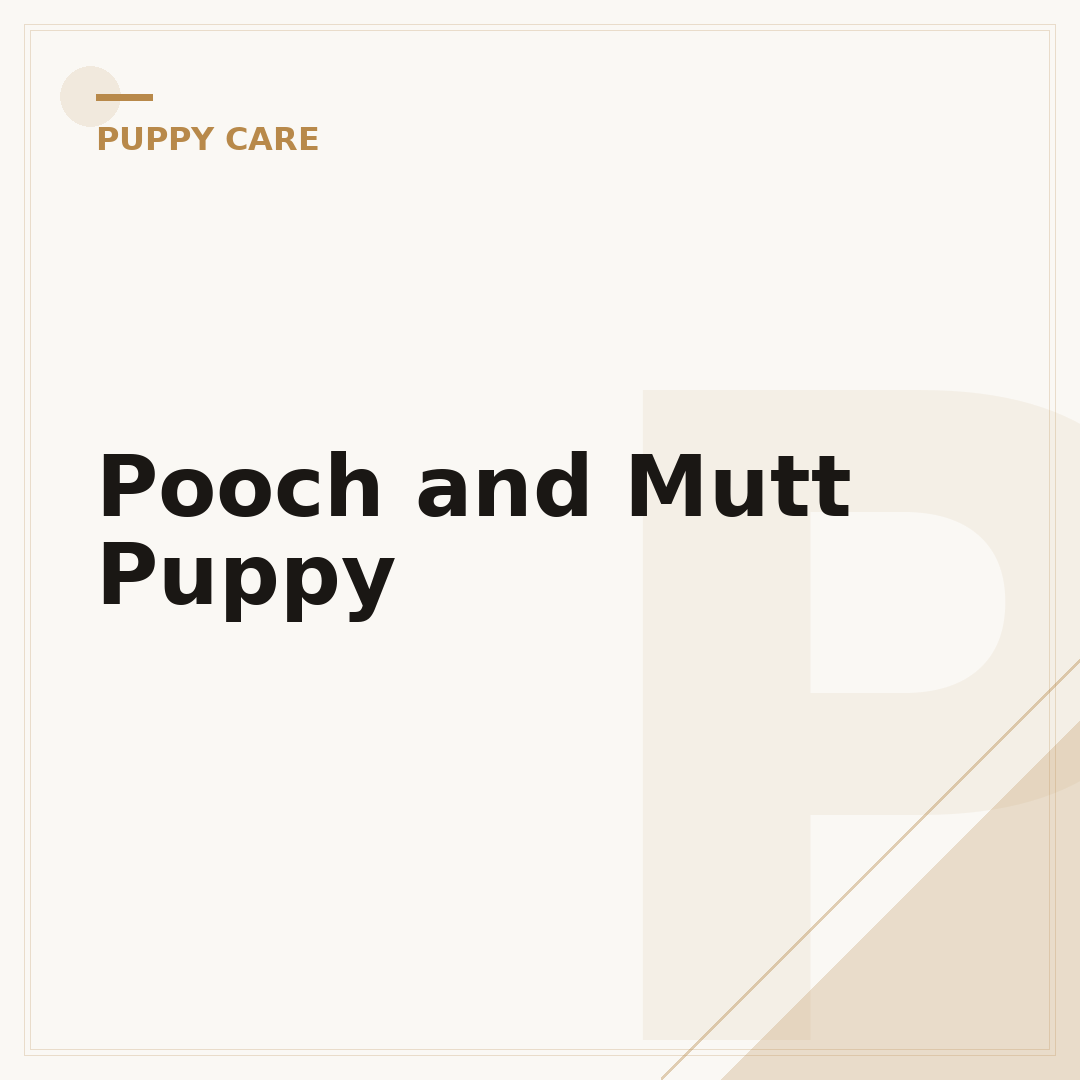 Pooch and Mutt Puppy
