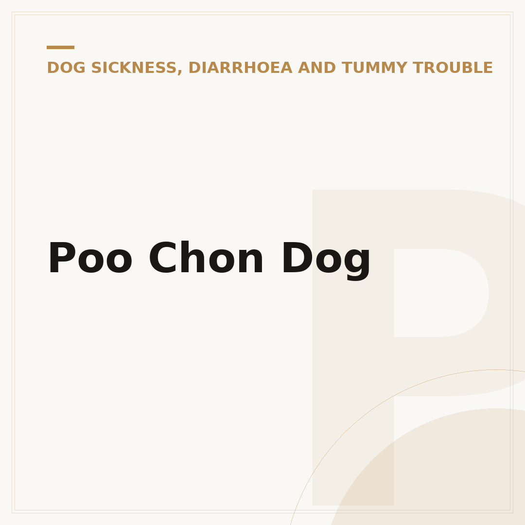 Poo Chon Dog