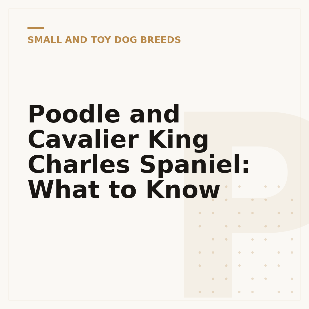 Poodle and Cavalier King Charles Spaniel: What to Know
