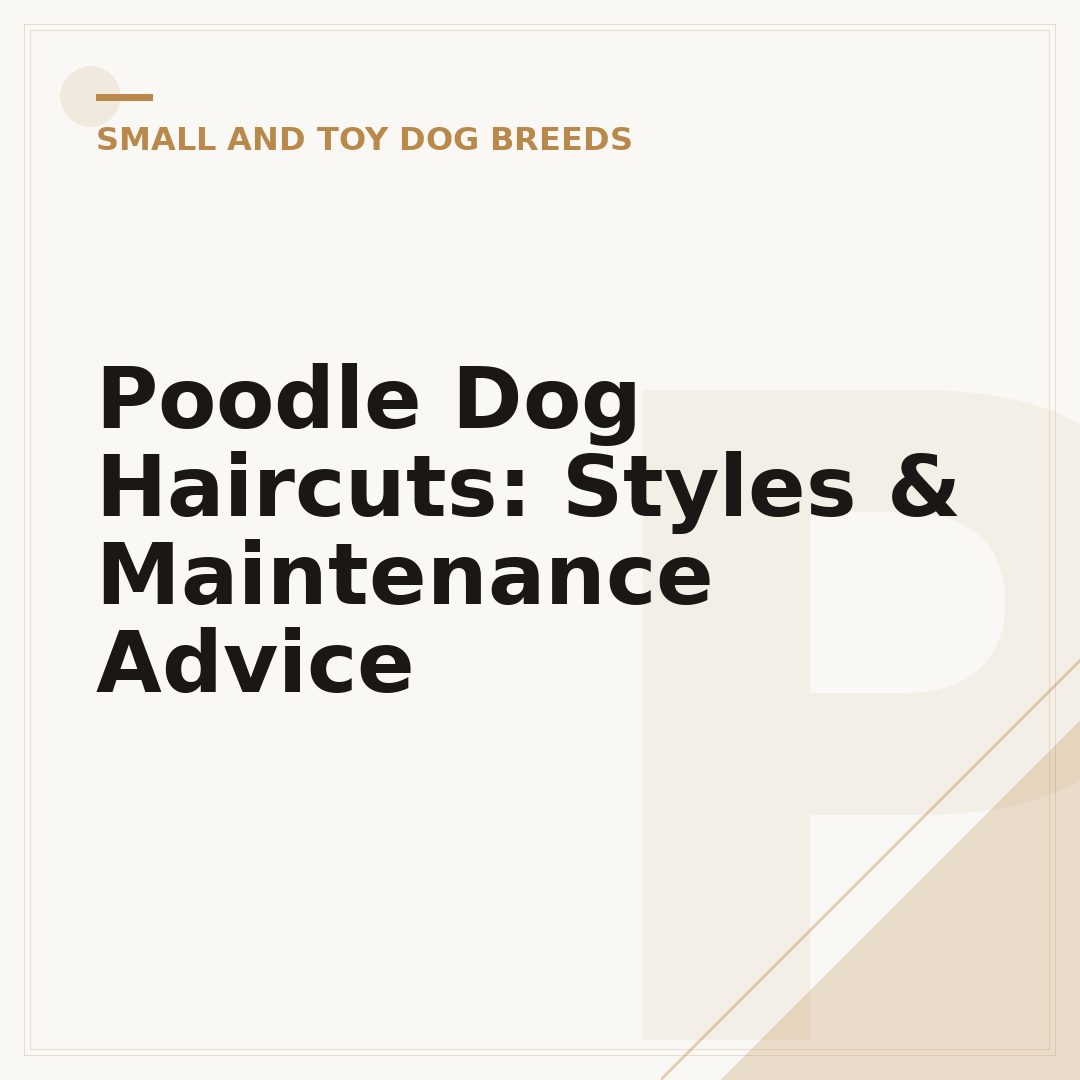 Poodle Dog Haircuts: Styles & Maintenance Advice