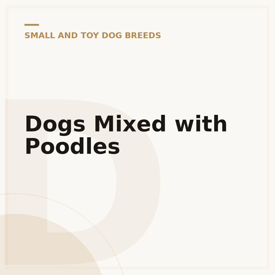 Dogs Mixed with Poodles