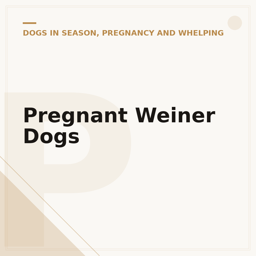 Pregnant Weiner Dogs