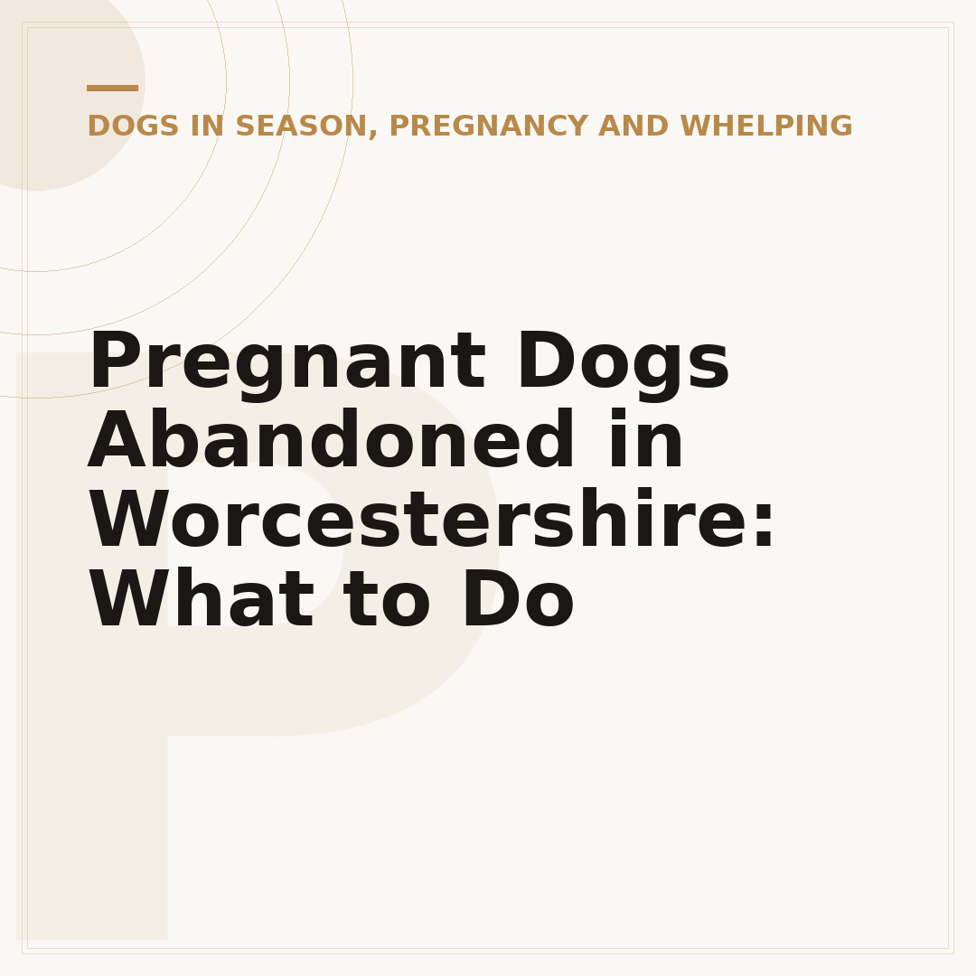 Pregnant Dogs Abandoned in Worcestershire: What to Do