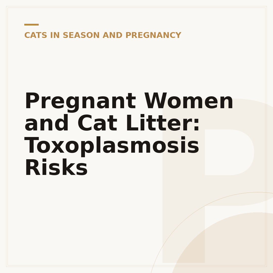 Pregnant Women and Cat Litter: Toxoplasmosis Risks