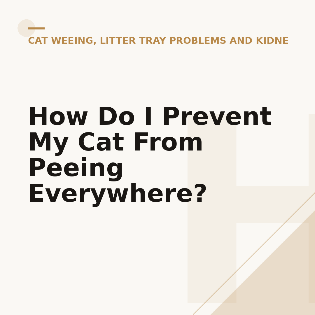 How Do I Prevent My Cat From Peeing Everywhere?