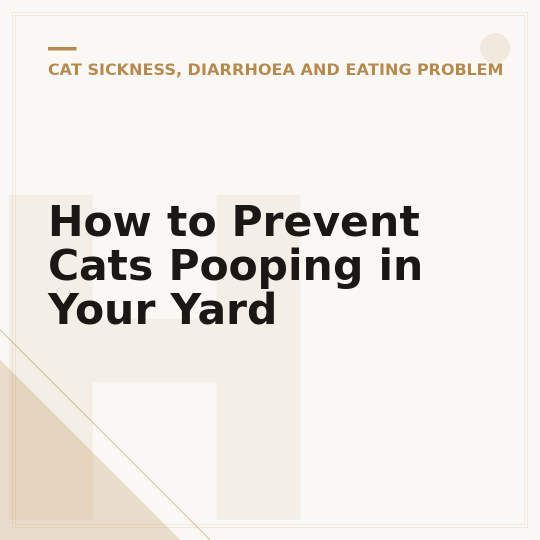 How to Prevent Cats Pooping in Your Yard