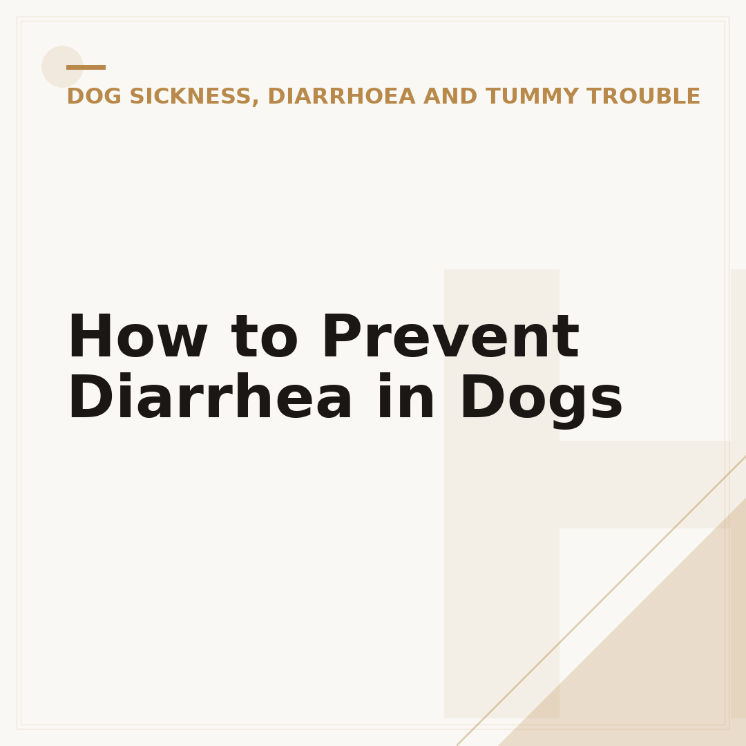 How to Prevent Diarrhea in Dogs